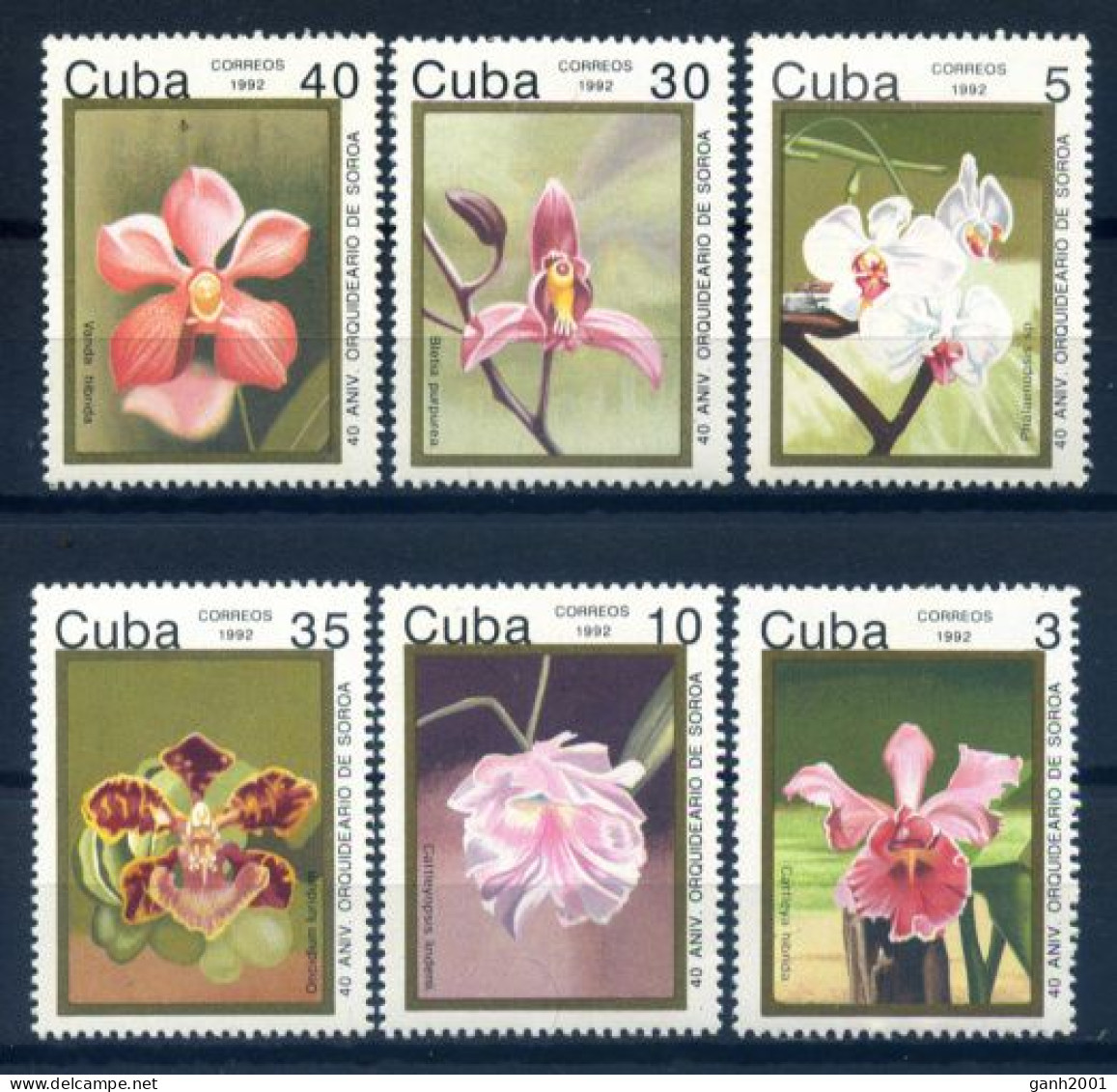 Cuba 1992 / Flowers Orchids MNH Flores Orquídeas Blumen Fleurs / Hj60 1-37 - Orchidées