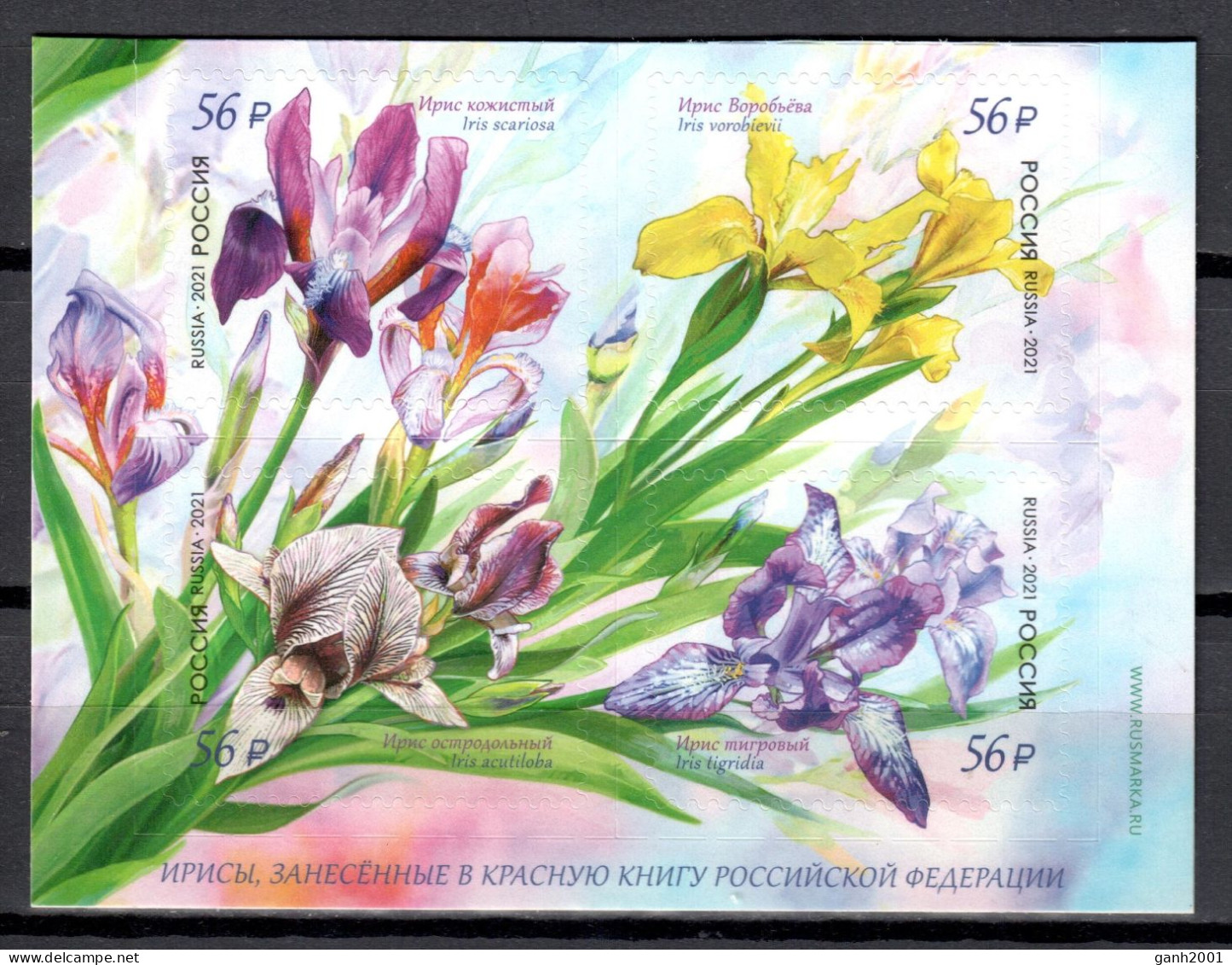 Russia 2021 Rusia / Flowers MNH Flores Blumen Fleurs / Hx01  34-53 - Autres & Non Classés