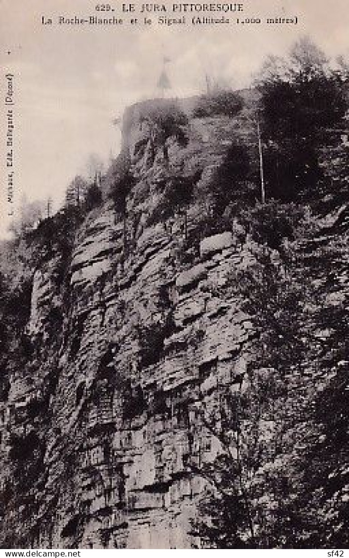 JURA        LA ROCHE BLANCHE ET LE SIGNAL - Autres & Non Classés