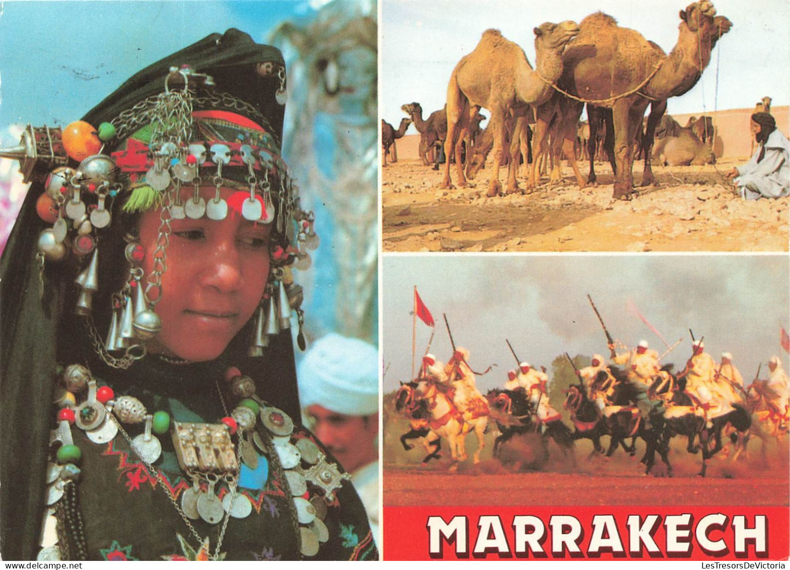 MAROC - Marrakech - Femme Sud - Les Chameaux - La Fantazia - Carte Postale - Marrakech