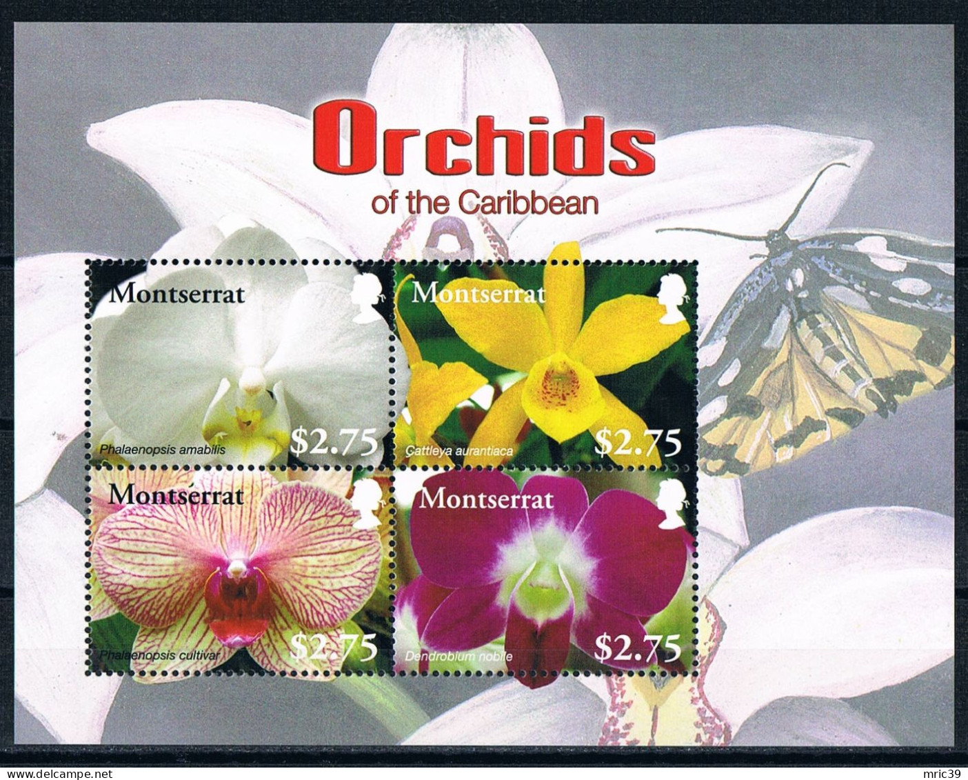 Bloc Sheet  Fleurs Orchidées Flowers Orchids  Neuf  MNH **   Montserrat 2208 - Orchids