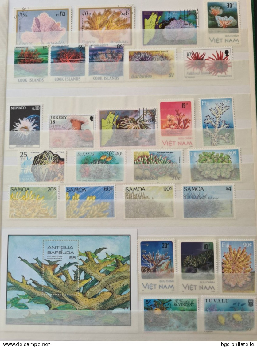 Collection De Timbres Sur Le Thème Des Fonds Marins. - Collections (without Album)