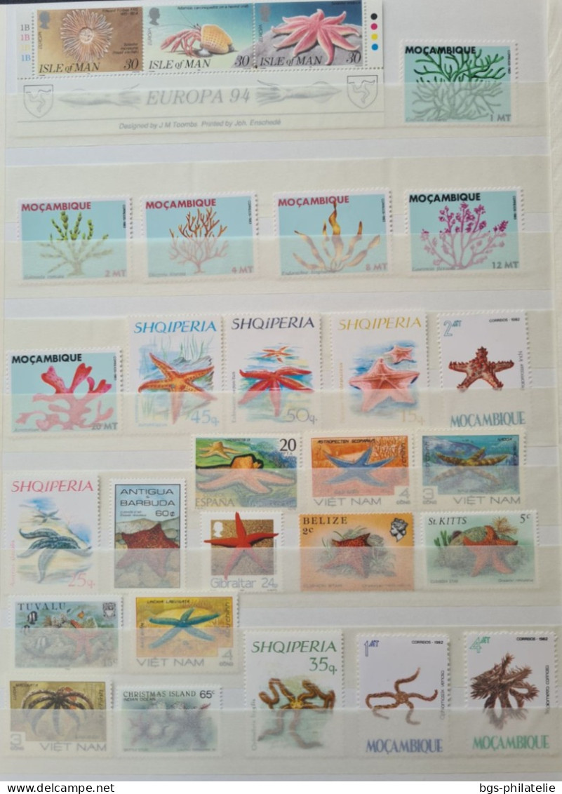 Collection de timbres sur le thème des fonds marins.