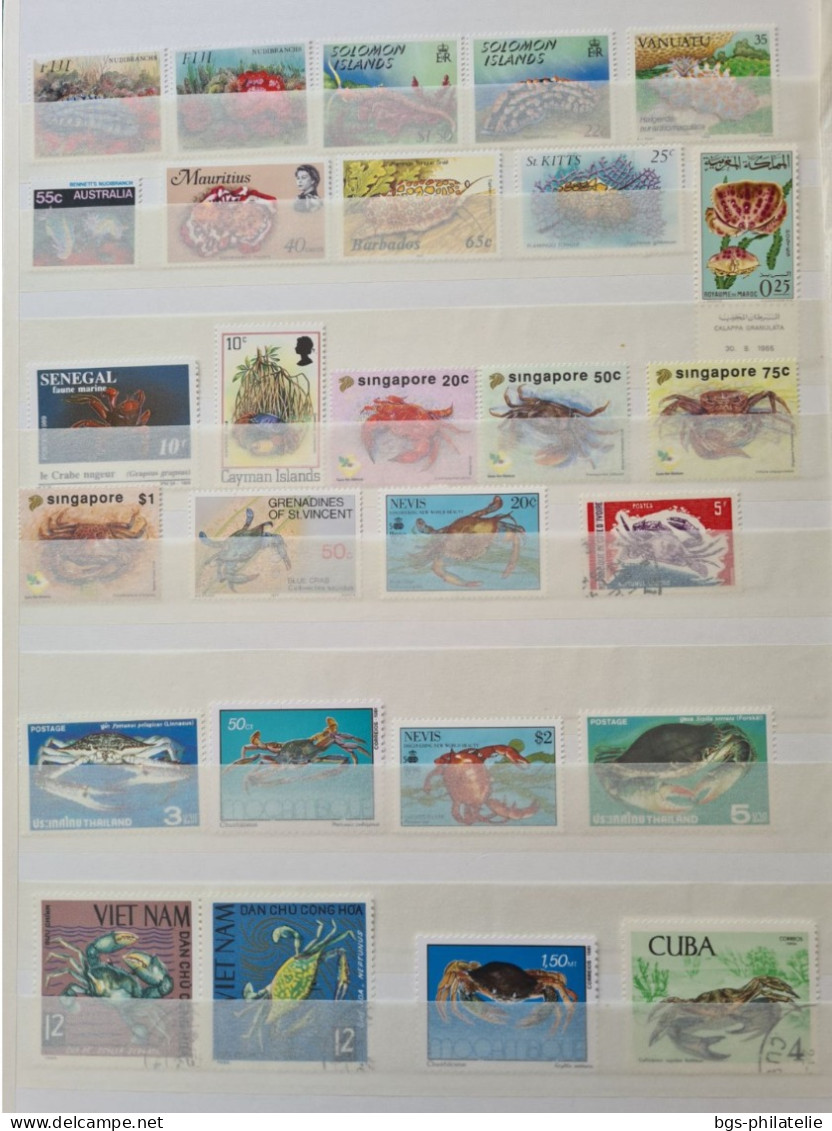 Collection de timbres sur le thème des fonds marins.