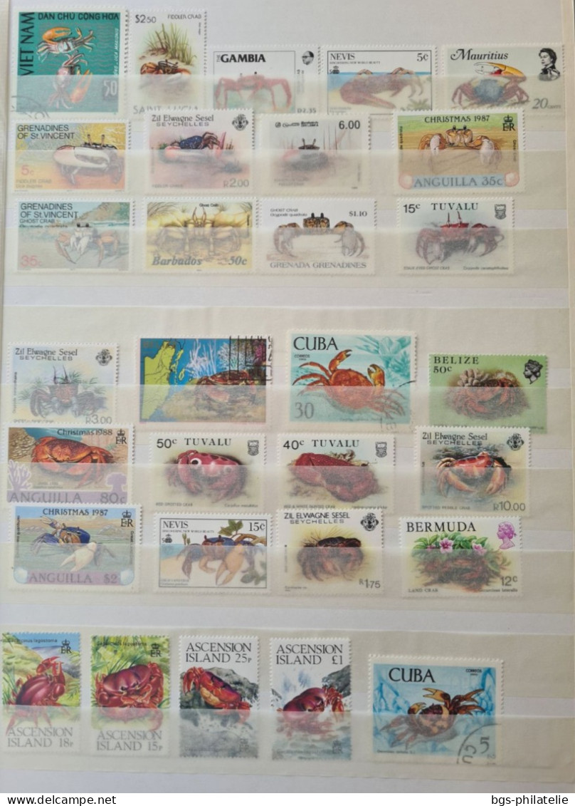 Collection de timbres sur le thème des fonds marins.