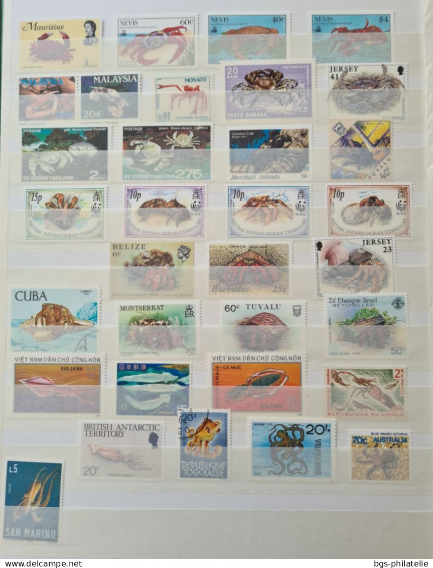 Collection de timbres sur le thème des fonds marins.