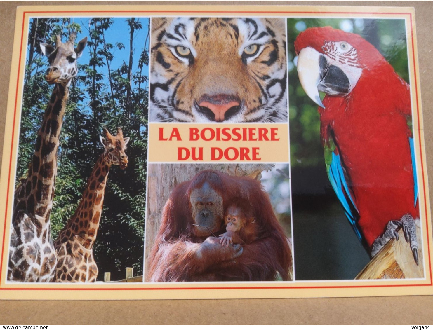 44 - Zoo De La BOISSIERE DU DORE -Girafes - Tigre -Ara - Chimpanzé- - Jirafas
