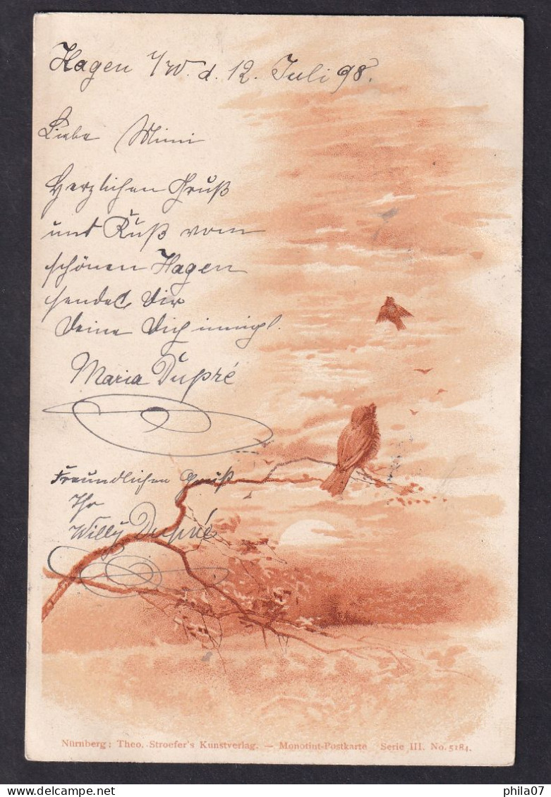 Illustration Of Birds - Theo Stroefer's - Serie III No. 5184 / Year 1898 / Long Line Postcard Circulated, 2 Scans - Before 1900