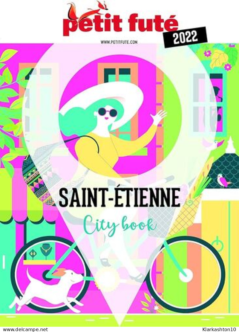 Guide Saint-Etienne 2022 Petit Futé - Autres & Non Classés