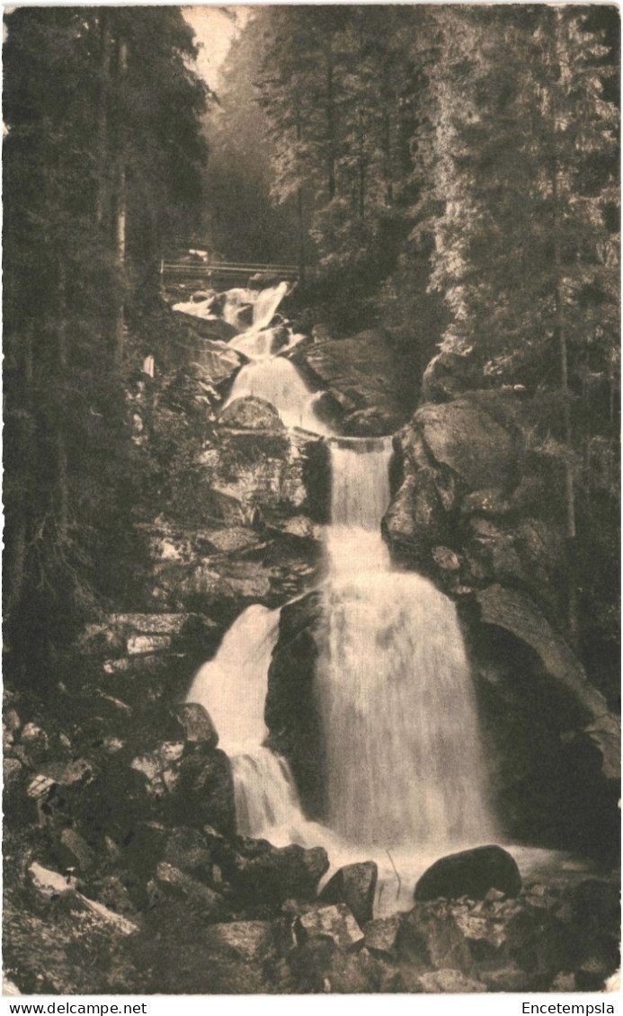 CPA Carte Postale Germany Triberg Der Wasserfall 1913  VM80862 - Triberg