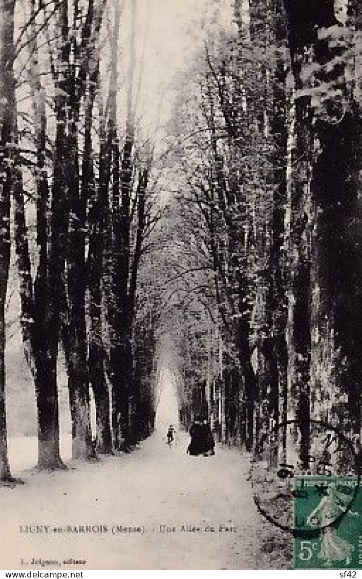 LIGNY EN BARROIS             Une Allée Du Parc - Ligny En Barrois