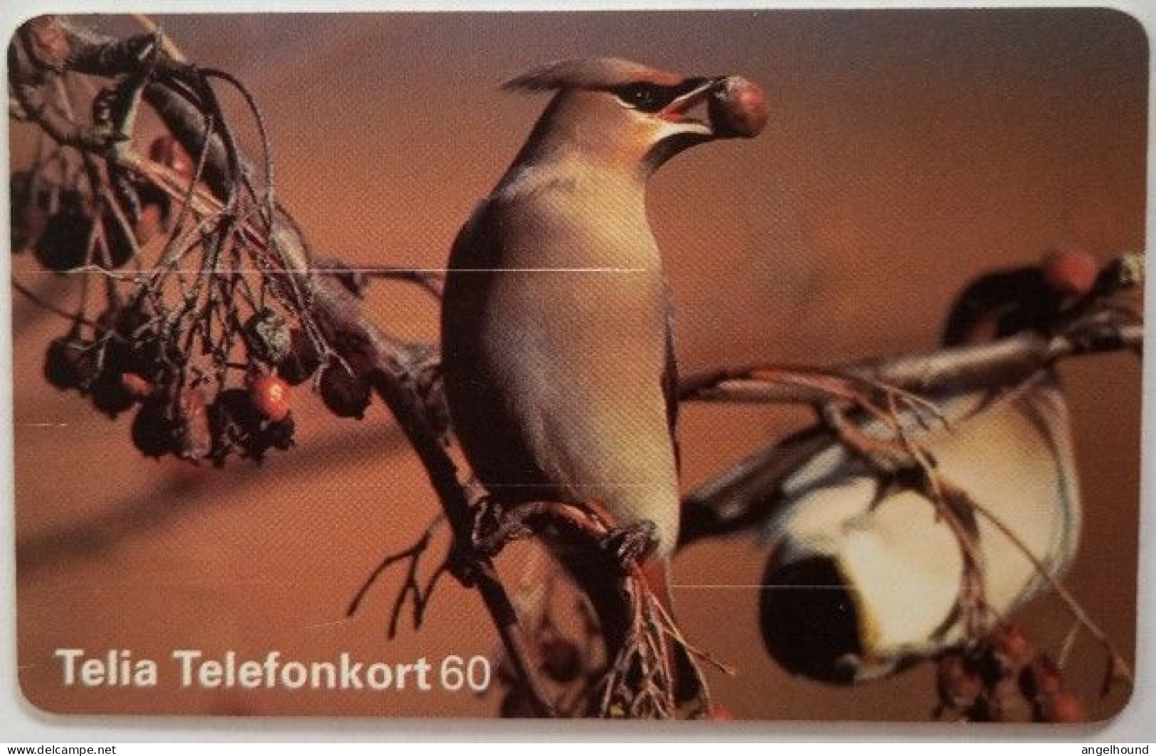 Sweden 60Mk. Chip Card - Bird 3 Waxwing - Sweden