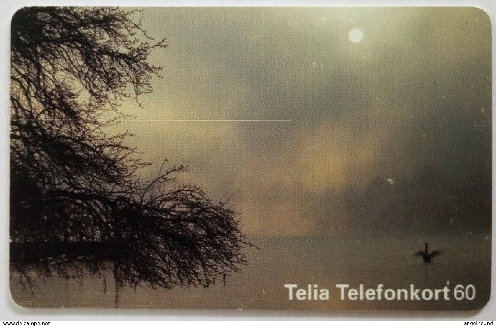 Sweden 60Mk. Chip Card - Fog On The Pond - Sweden