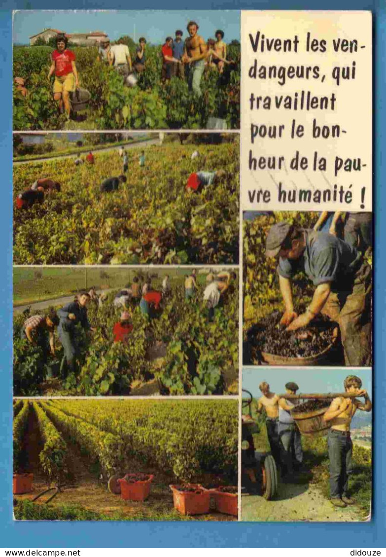 Vignes - Vendanges - Multivues - Ecrite En 1984 - Vines