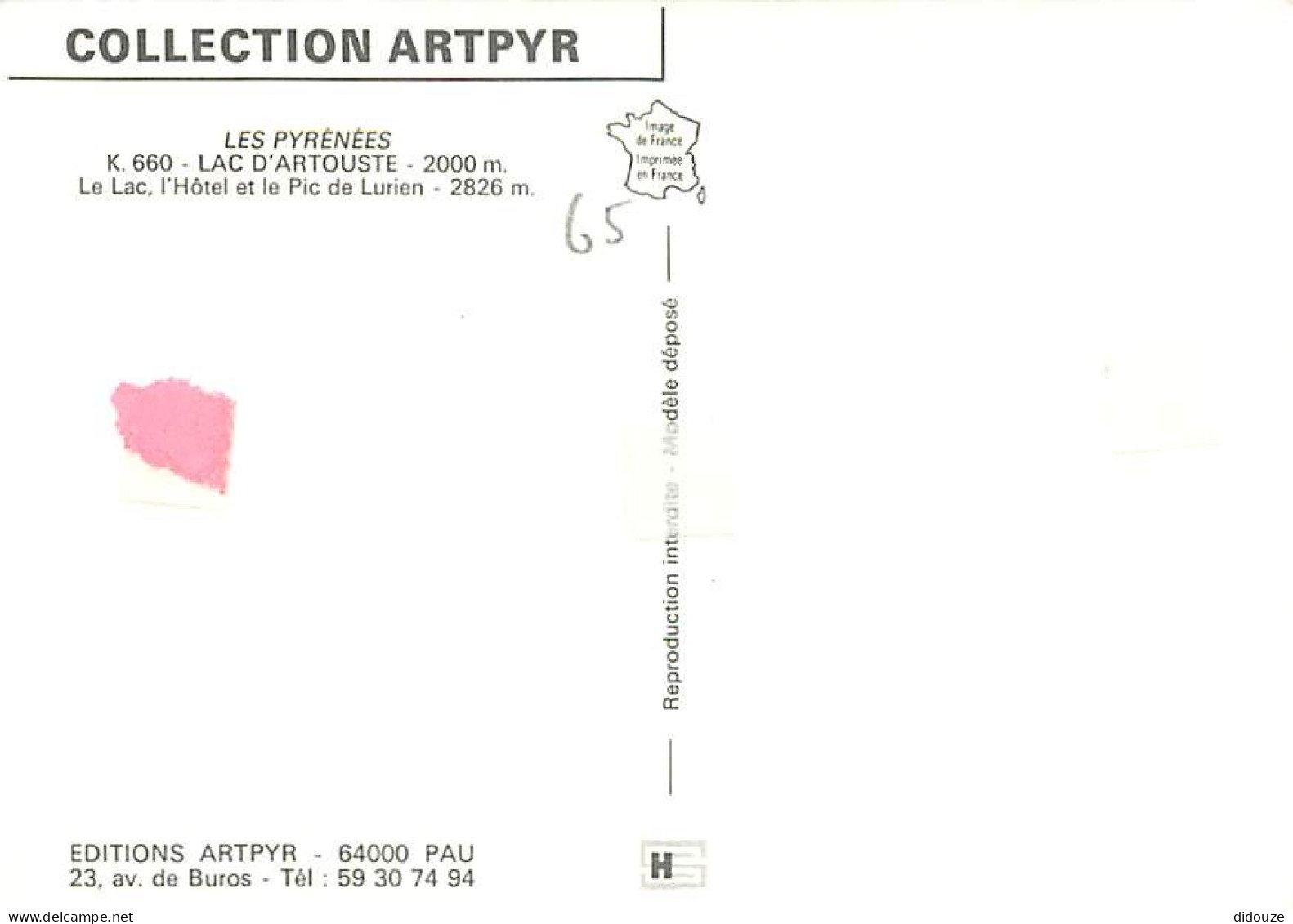 64 - Artouste - Le Lac D'Artouste  L'Hôtel Et Le Pic De Lurien - Fleurs - CPM - Voir Scans Recto-Verso - Autres & Non Classés