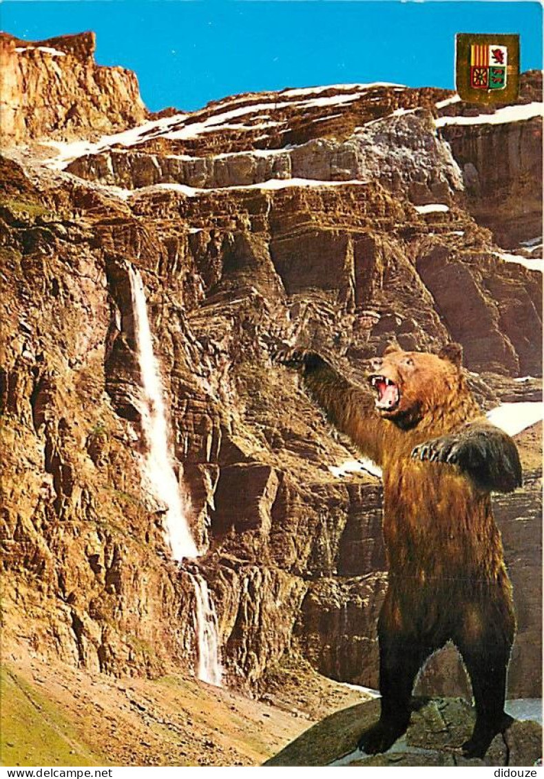 Animaux - Ours - Ours Des Pyrénées - Bear - CPM - Carte Neuve - Voir Scans Recto-Verso - Ours