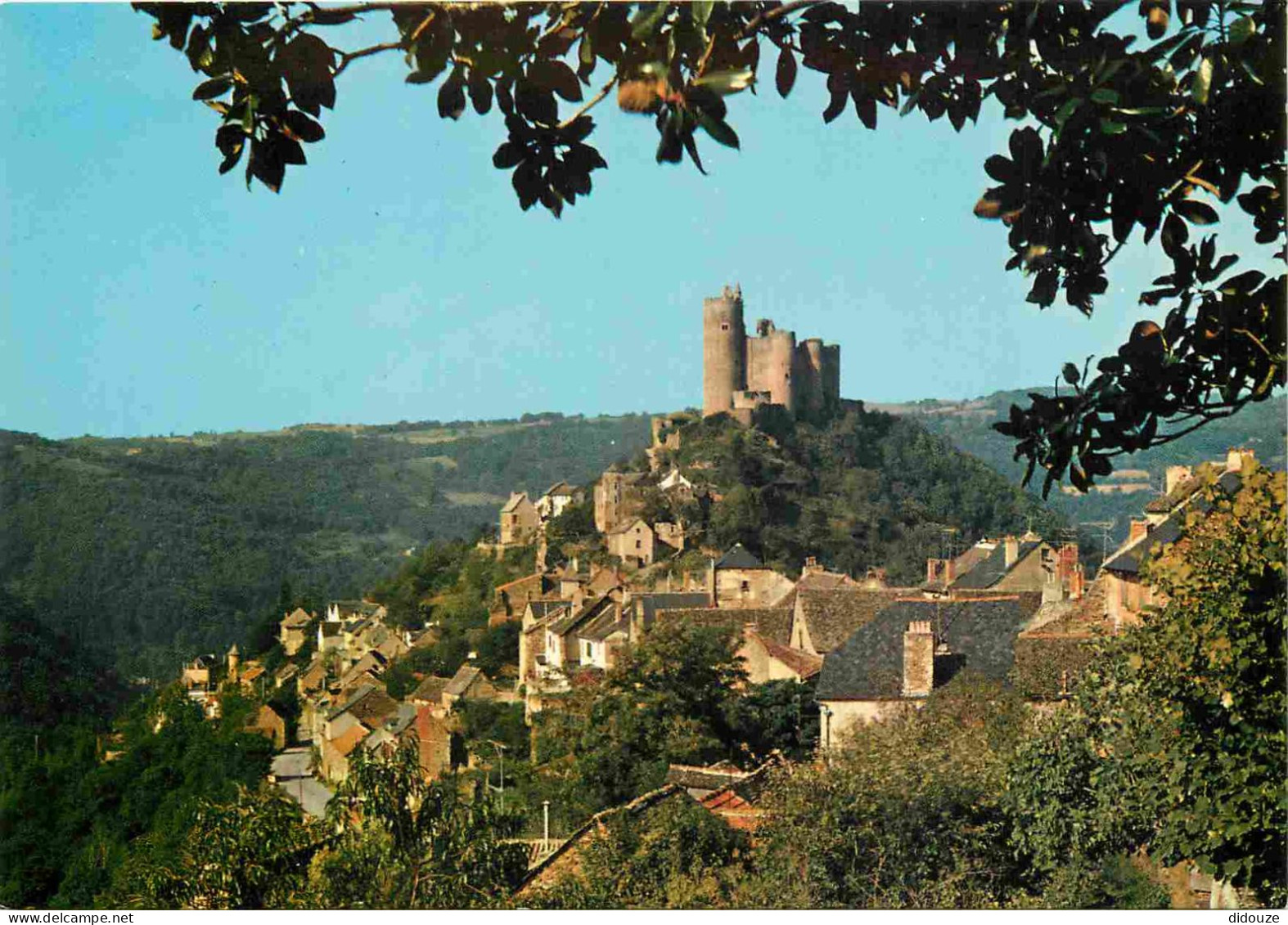 12 - Najac - Vue Générale - Le Château - CPM - Voir Scans Recto-Verso - Najac