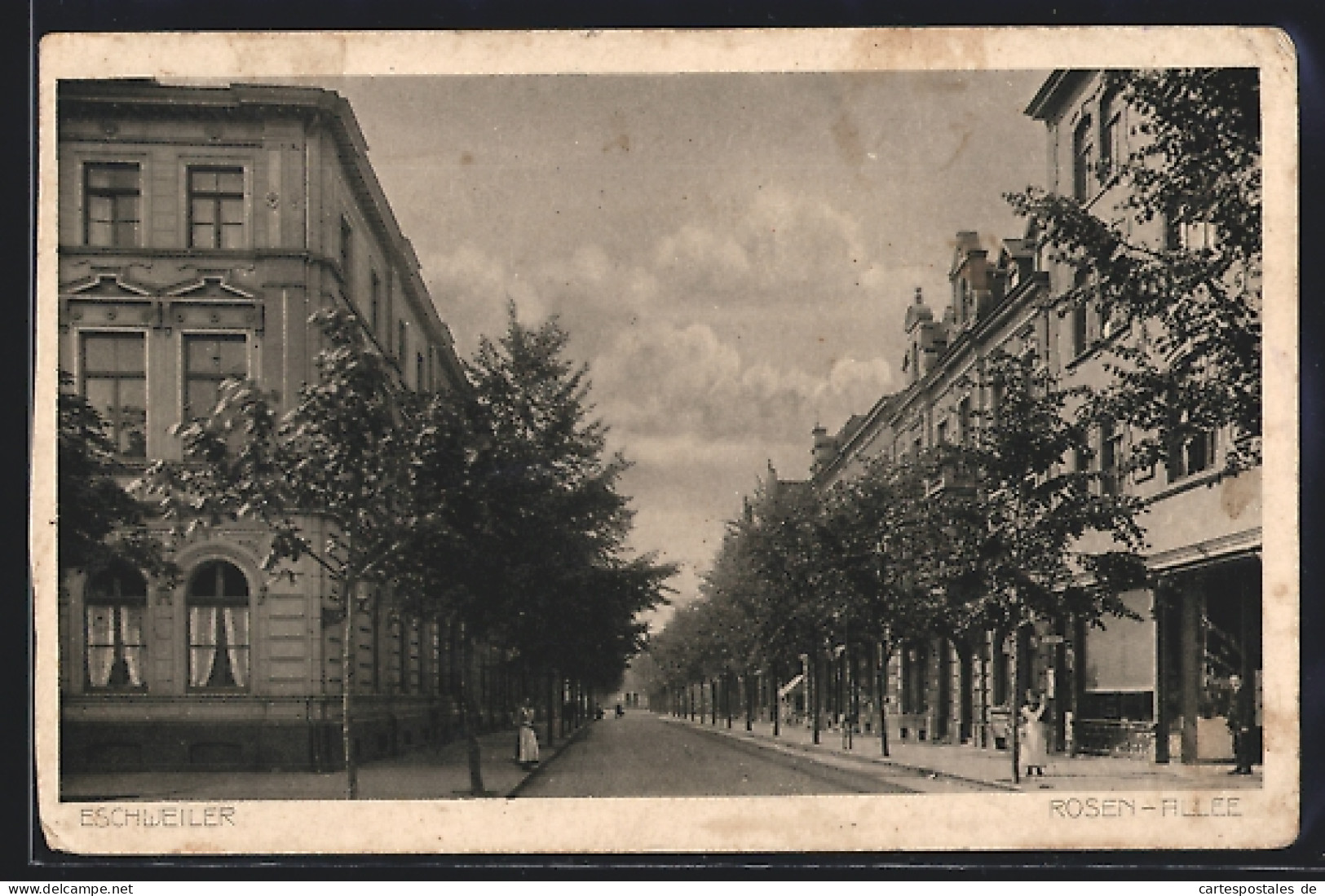 AK Eschweiler, Rosen-Allee, Strassenpartie  - Eschweiler