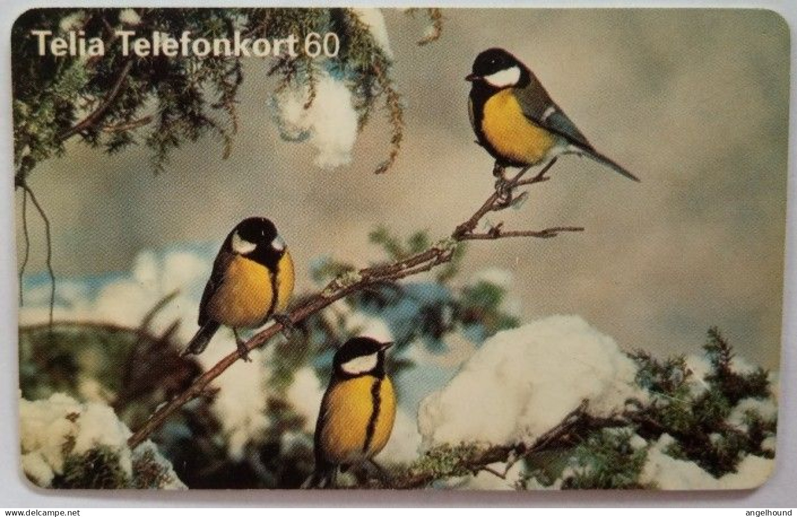 Sweden 60Mk. Chip Card - Bird 21 Great Tits - Parus Major Birds - Schweden