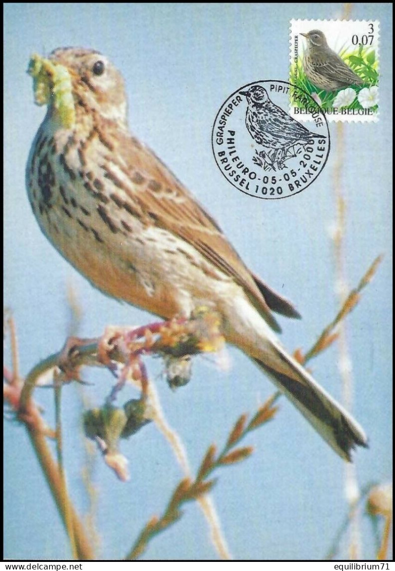 CM/MK° - Pipit Farlouse/Graspieper/Wiesenpieper/Anthus Pratensis - BSL-BXL - PHILEURO - 05-05-2000 - BUZIN - 1985-.. Vögel (Buzin)