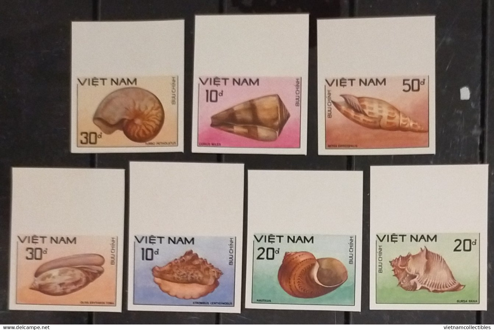 Vietnam Viet Nam MNH Imperf Stamps 1988 : Sea Shells /shell / Marine Life (Ms558) - Vietnam