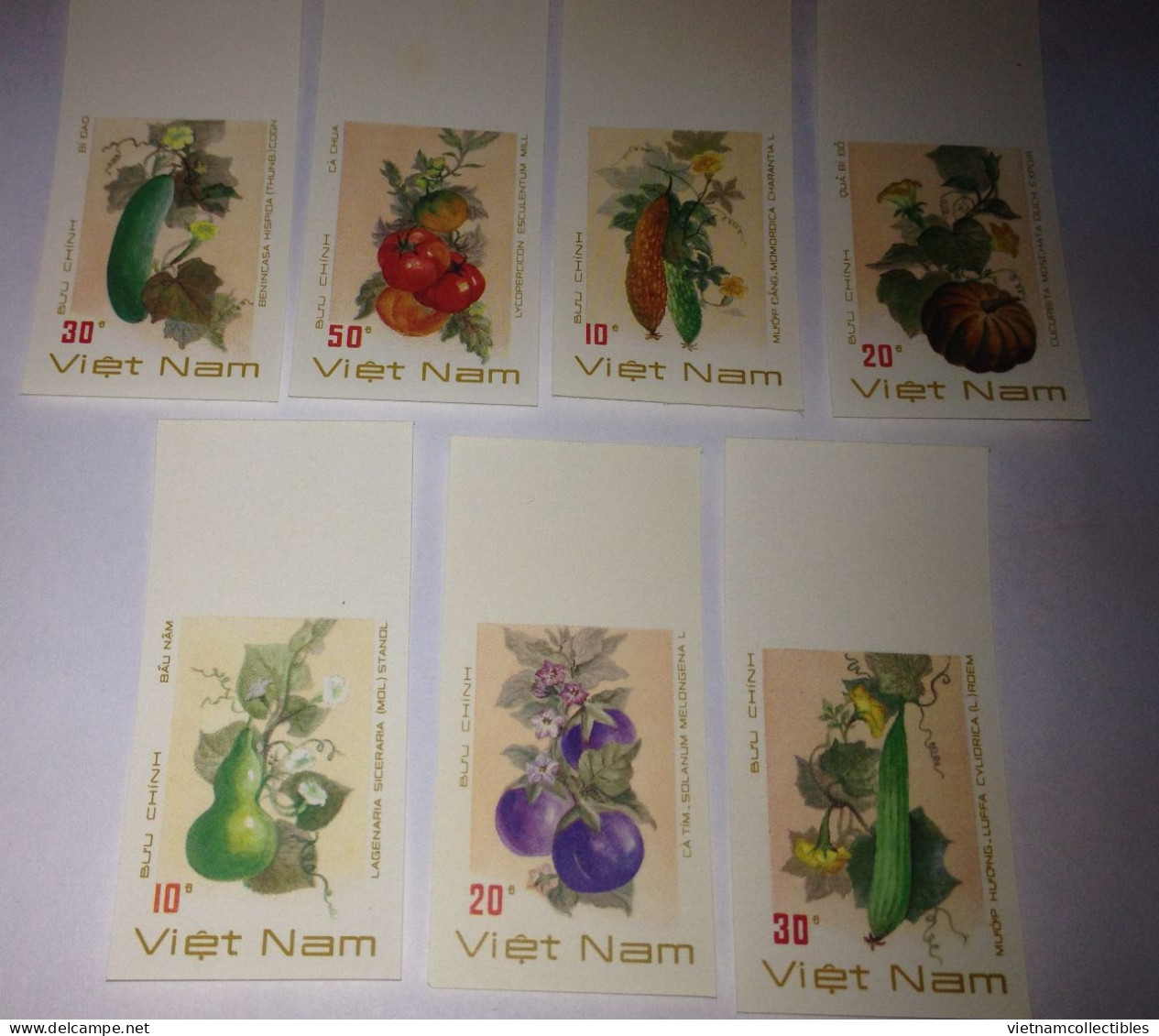 Vietnam Viet Nam MNH Imperf Stamps 1988 : Fruit / Melon / Pumpkin (Ms556) - Vietnam