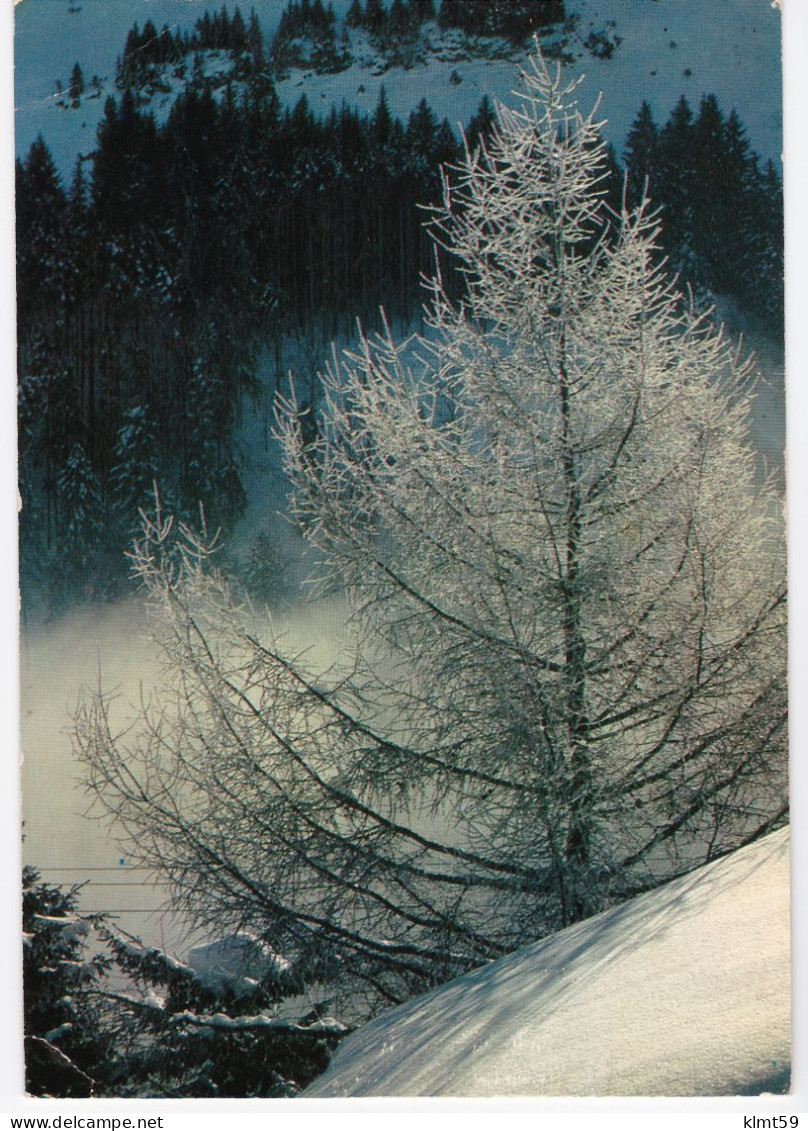 Couleurs De L'hiver - Sonstige & Ohne Zuordnung