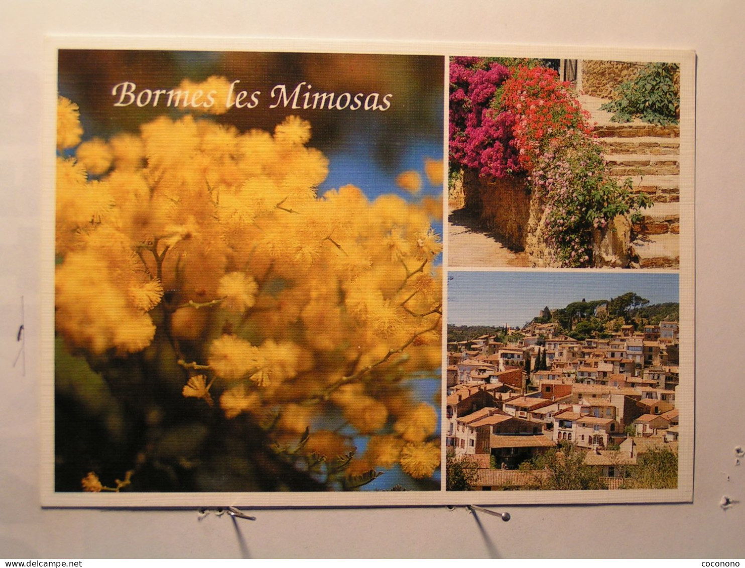 Bormes-les-Mimosas - Bormes-les-Mimosas