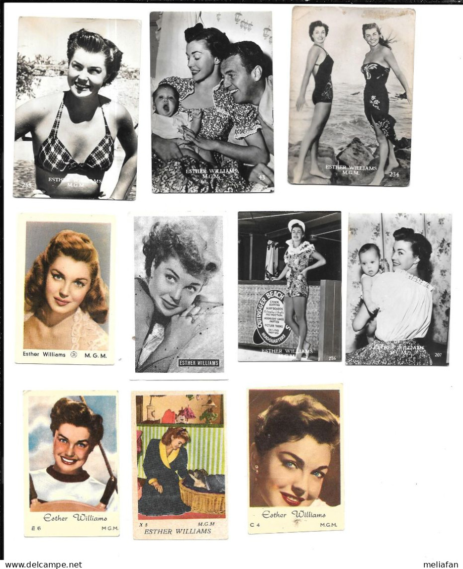 Z992 - PHOTOS DIVERSES - ESTHER WILLIAMS - Foto's