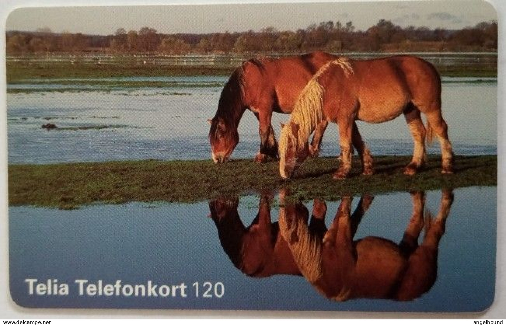 Sweden 120Mk. Chip Card - Horses - Sweden
