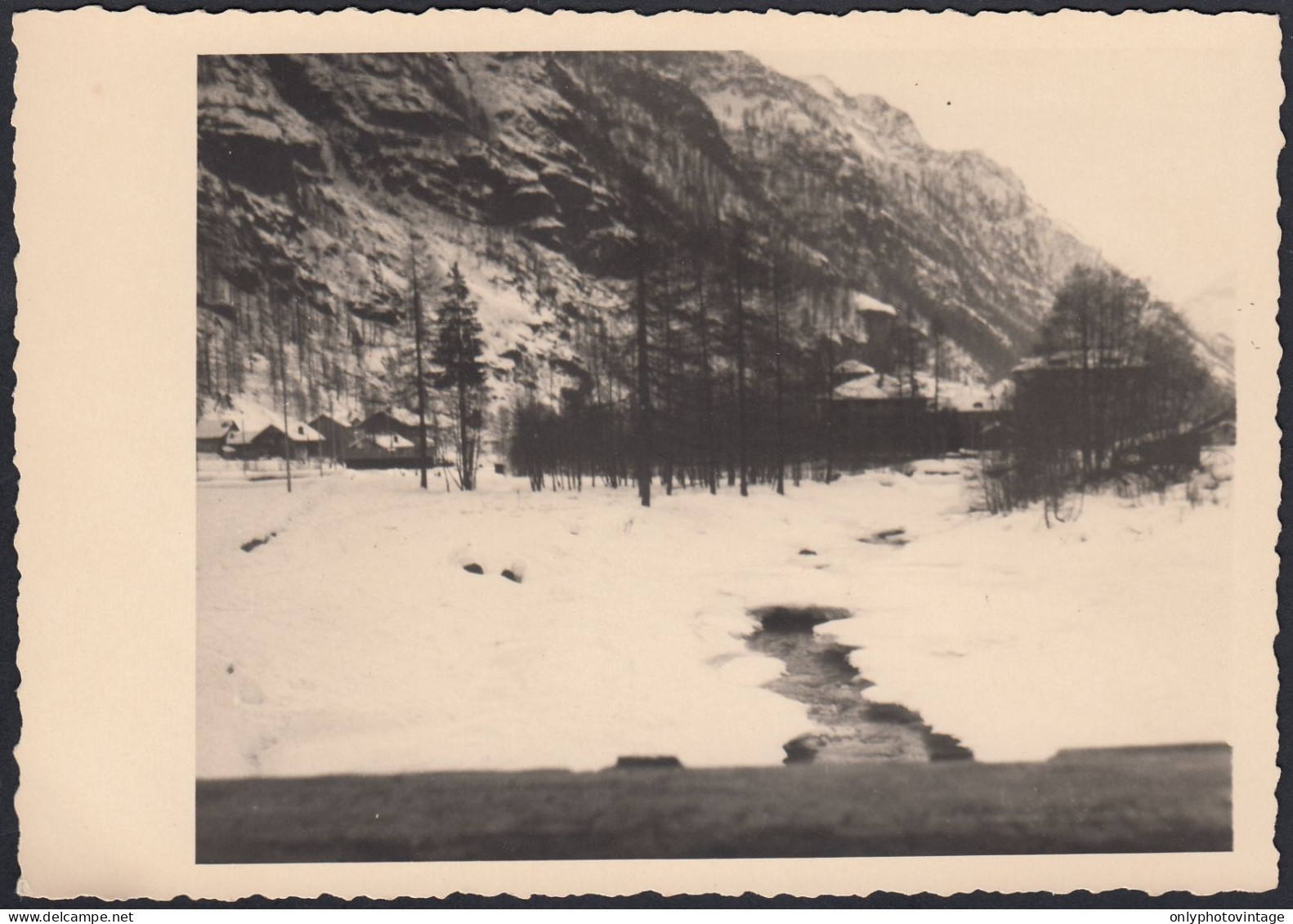 Natura Sotto La Neve In Montagne Da Identificare, 1940 Fotografia Vintage  - Lugares