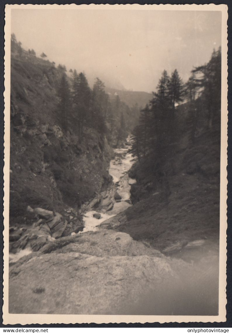 Valle D'Aosta 1940 - Dondena - Pineta - Gola - Fotografia - Vintage Photo - Lugares