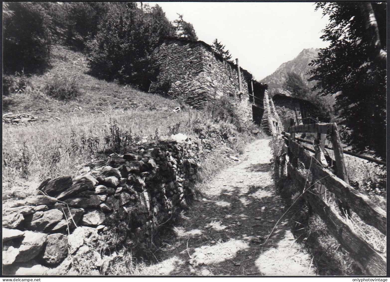Val D'Aosta 1977 - Sentiero Caratteristico E Baita - Foto - Vintage Photo - Orte