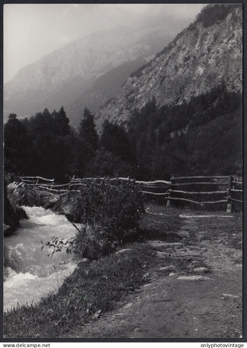 Valle D'Aosta 1977 - Torrente Fra Le Montagne - Foto - Vintage Photo - Orte