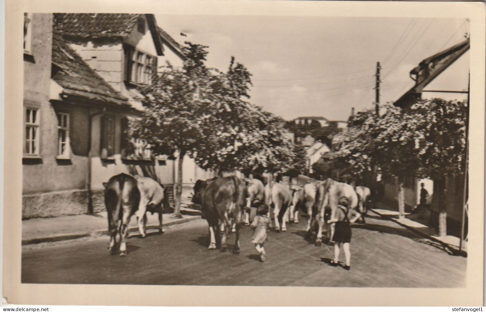 Friedrichroda  1955  Ortspartie - Friedrichroda