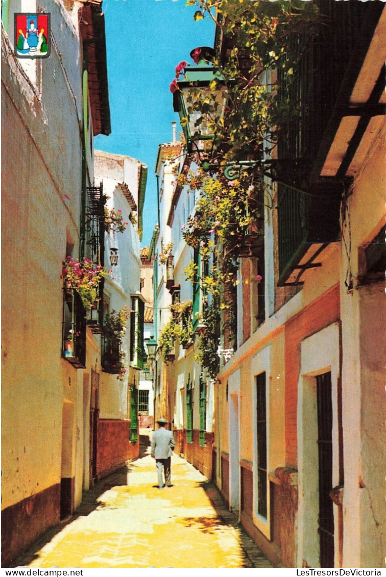 ESPAGNE - Sevilla - Calle De La Pimienta - Barrio De Sta. Cruz - Carte Postale - Sevilla