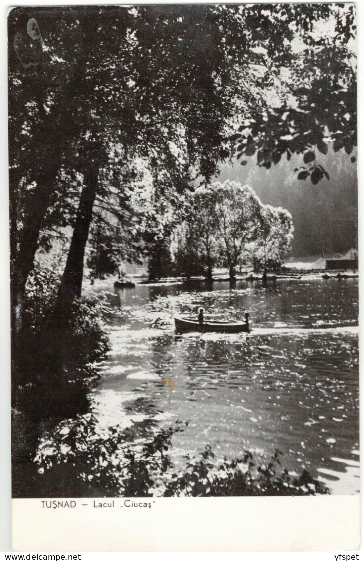 Tușnad - ”Ciucaș” Lake - Roumanie