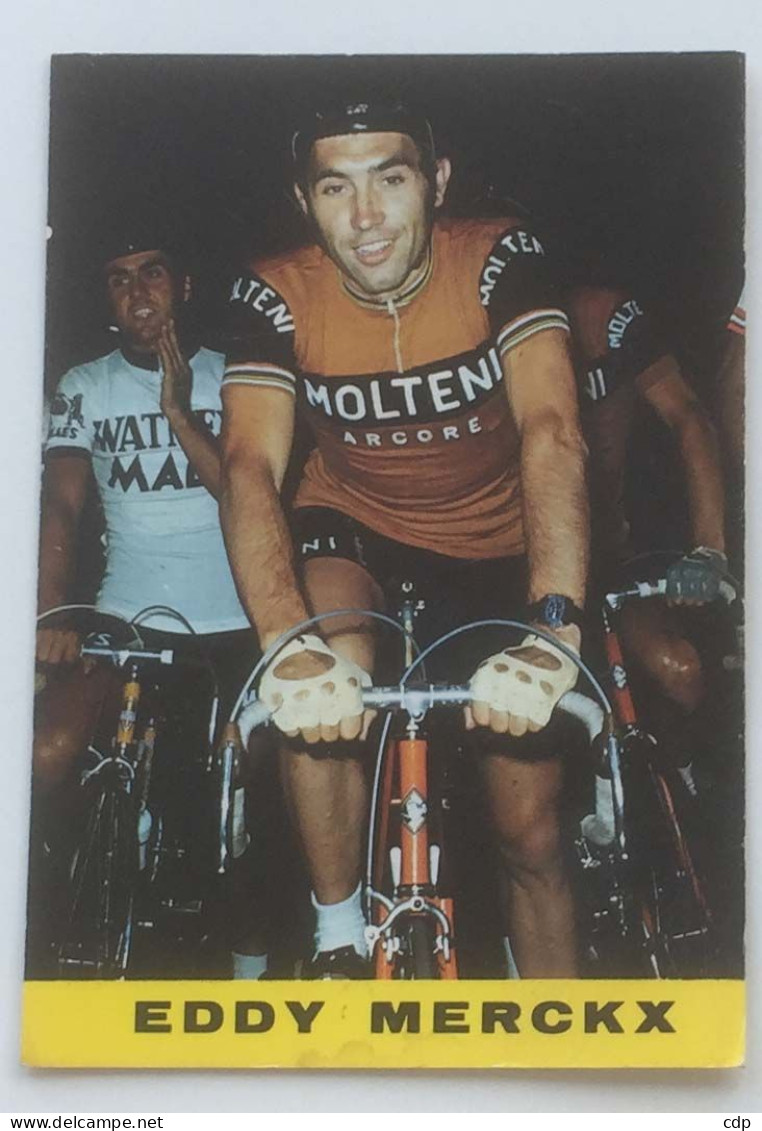 Carte Postale Eddy Merckx - Cyclisme