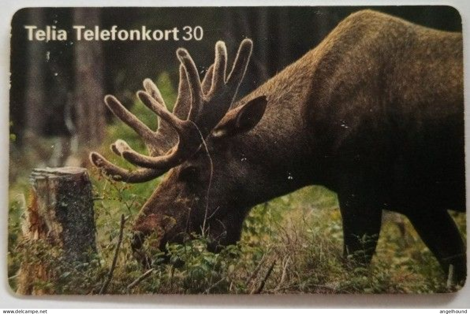 Sweden 30Mk. Chip Card - Elk - Brown Moose - Sweden