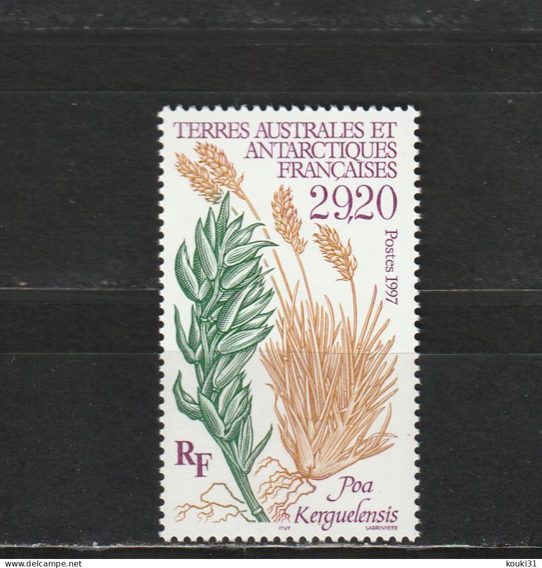TAAF YT 220 ** : Flore - 1997 - Unused Stamps