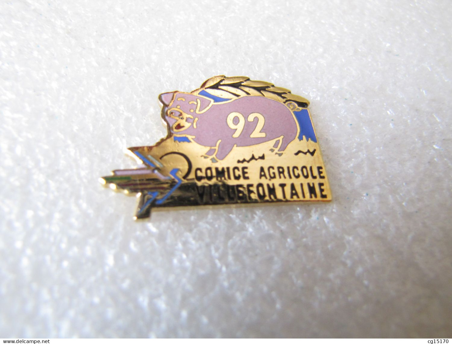 TOP PIN'S   COCHON   COMICE AGRICOLE  VILLEFONTAINE  Email Grand Feu - Dieren