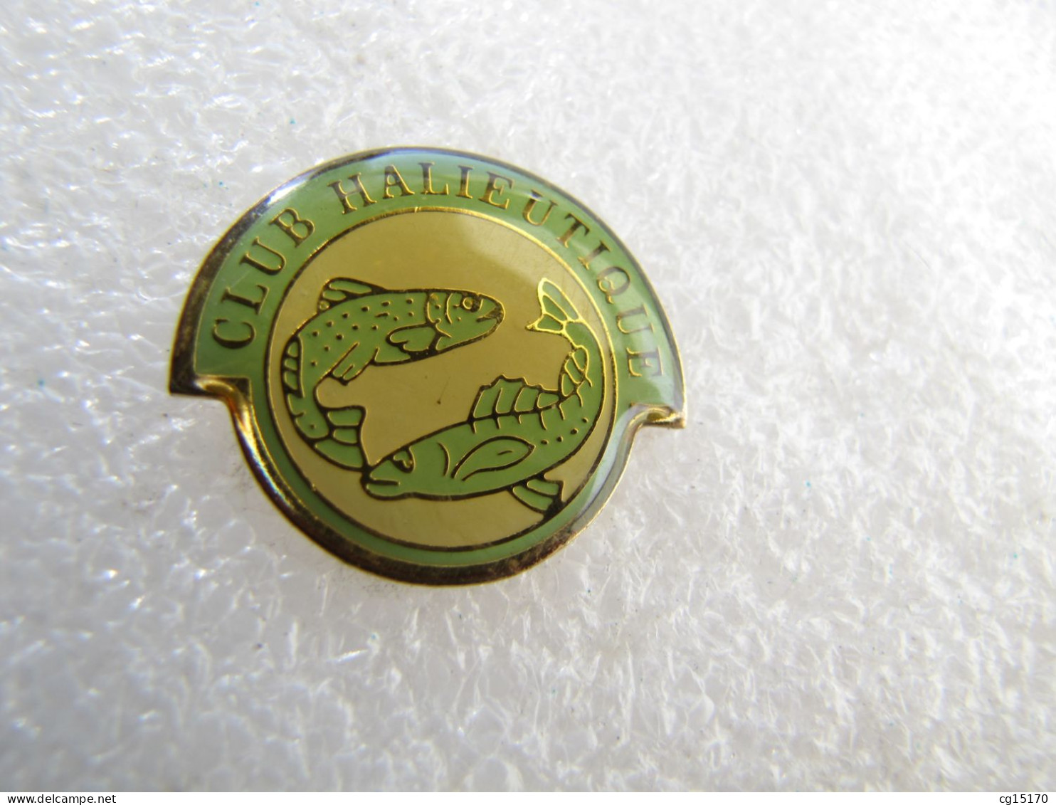 PIN'S   CLUB  HALIEUTIQUE  POISSONS - Animales