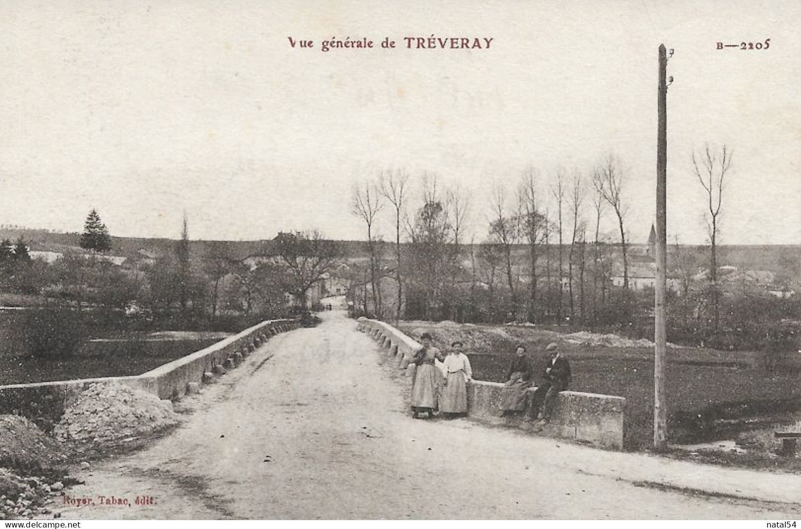 55 - Treveray - Vue Générale - Petite Animation - CPA écrite - Autres & Non Classés