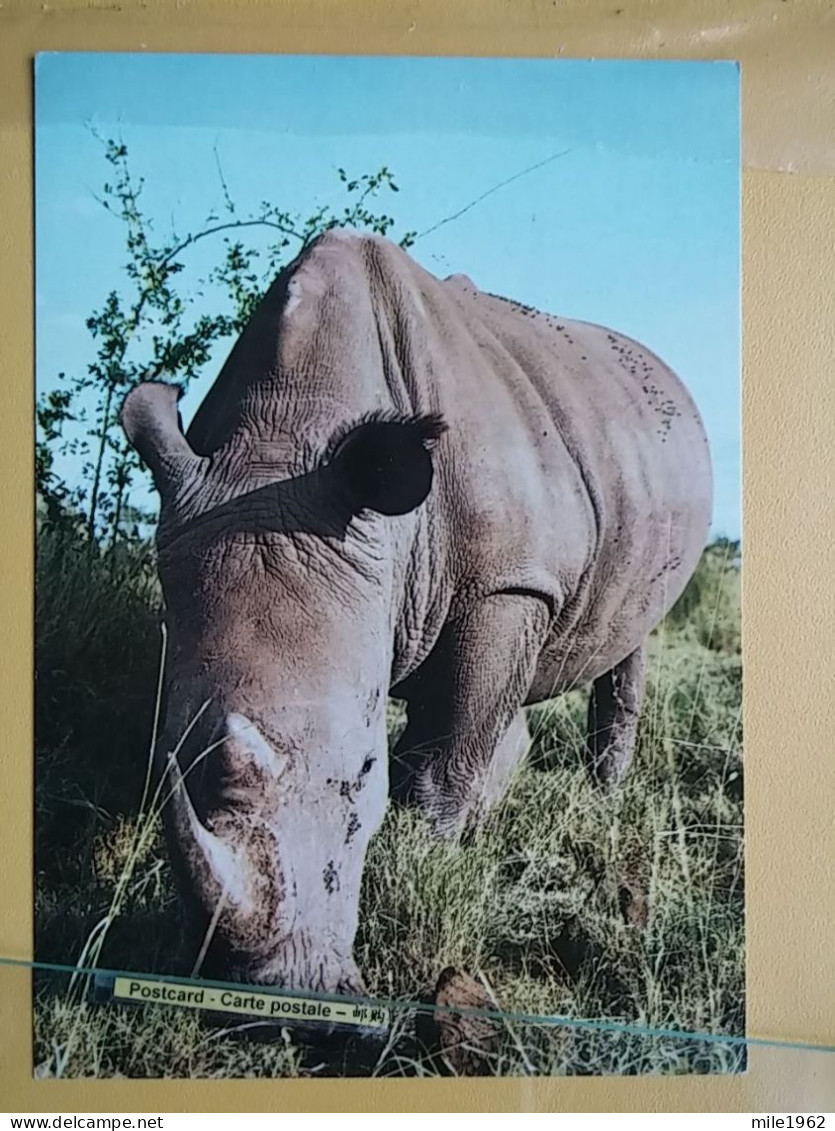 KOV 506-60 - RHINO, RHINOCEROS,  - Rinoceronte