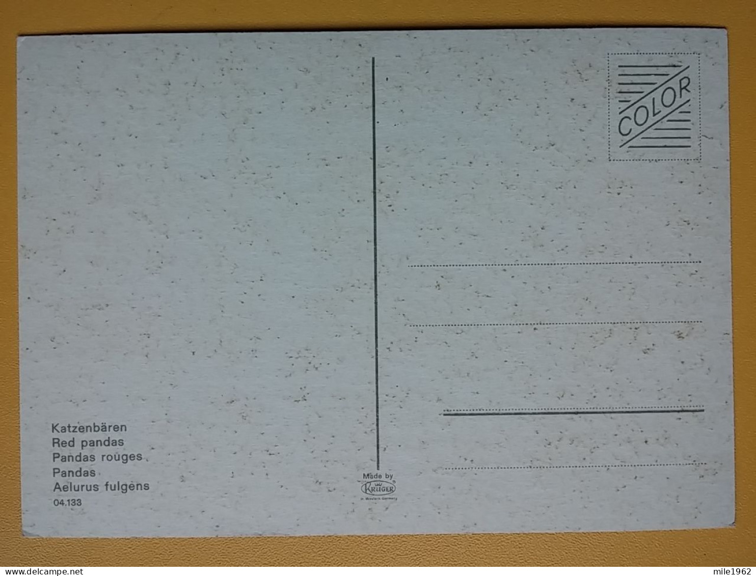 KOV 506-55 - RED PANDA, PANDAS, AELURUS FULGENS - Other & Unclassified