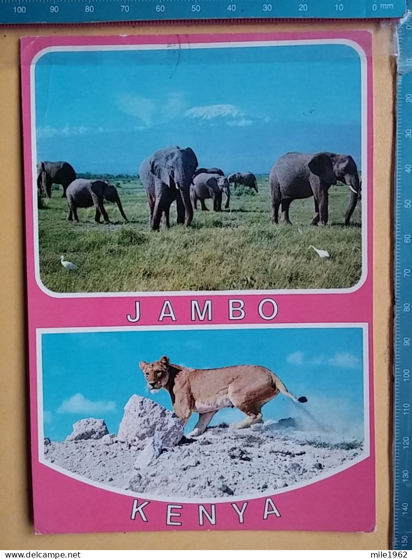 KOV 506-56 - ELEPHANT, OLIFANT, LION, LAON, KENYA - Éléphants