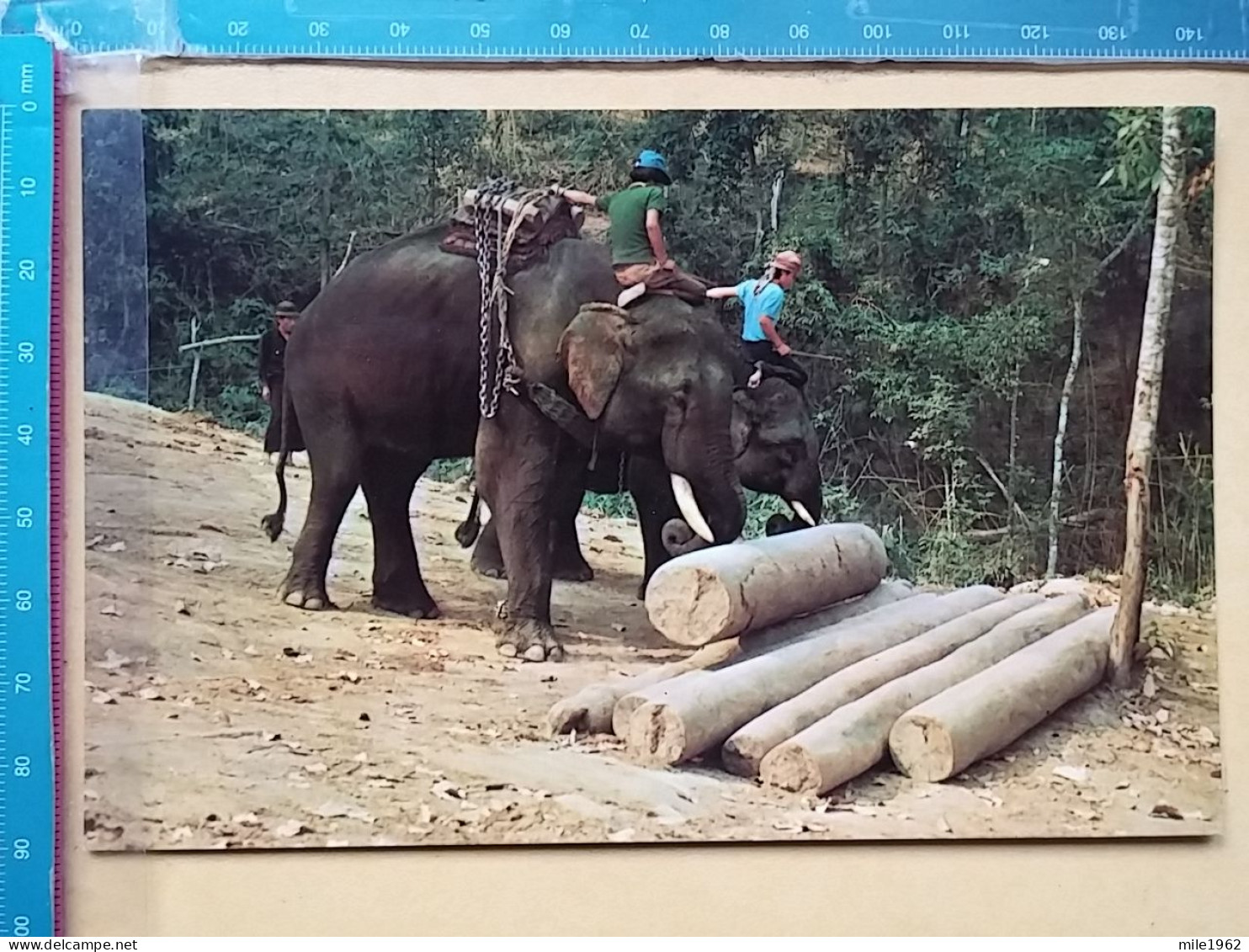 KOV 506-56 - ELEPHANT, OLIFANT, THAILAND - Elefanten