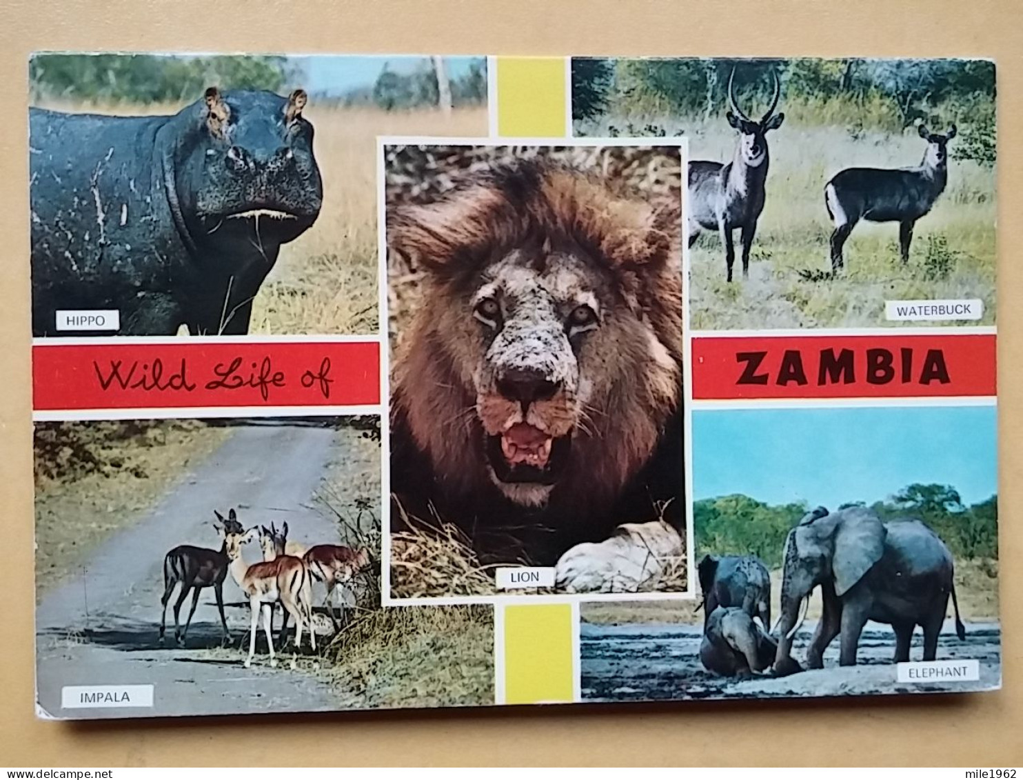 KOV 506-56 - ELEPHANT, IMPALA, LION, WATERBUCK, HIPPO, HIPPOPOTUMUS,, ZAMBIA - Éléphants