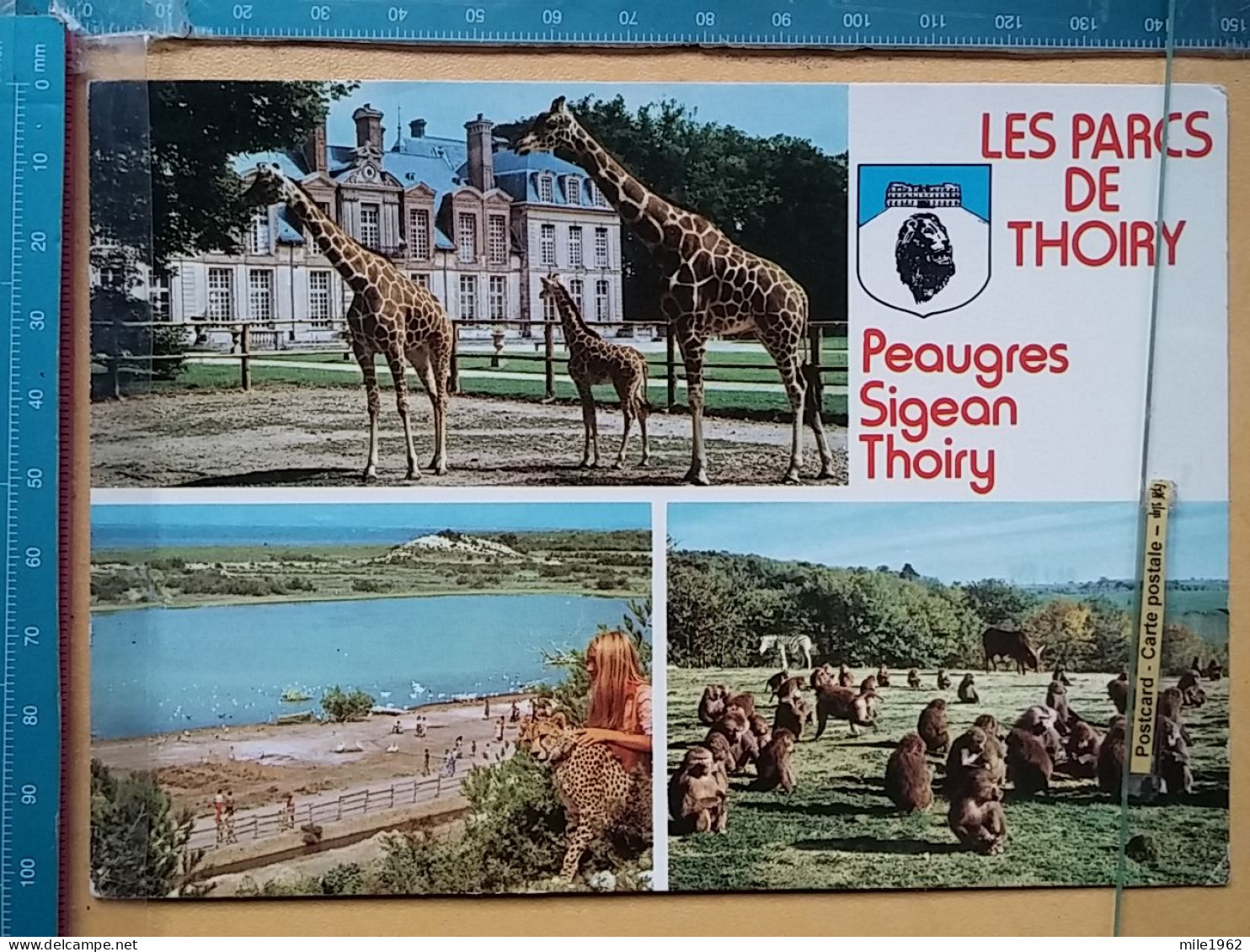 KOV 506-56 - GIRAFFE, MONKEY, THOIRY EN YVELINES, ZOO PARC, PARK - Jirafas