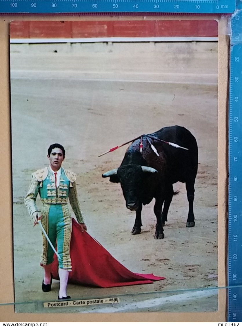 KOV 506-57 - BULL, TAUREAU, CORRIDA DE TOROS, MATADOR - Toros